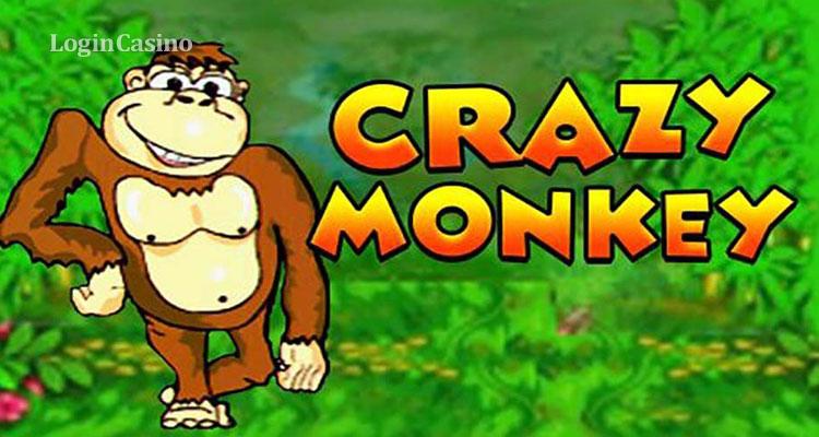Crazy monkey Crazy monkey